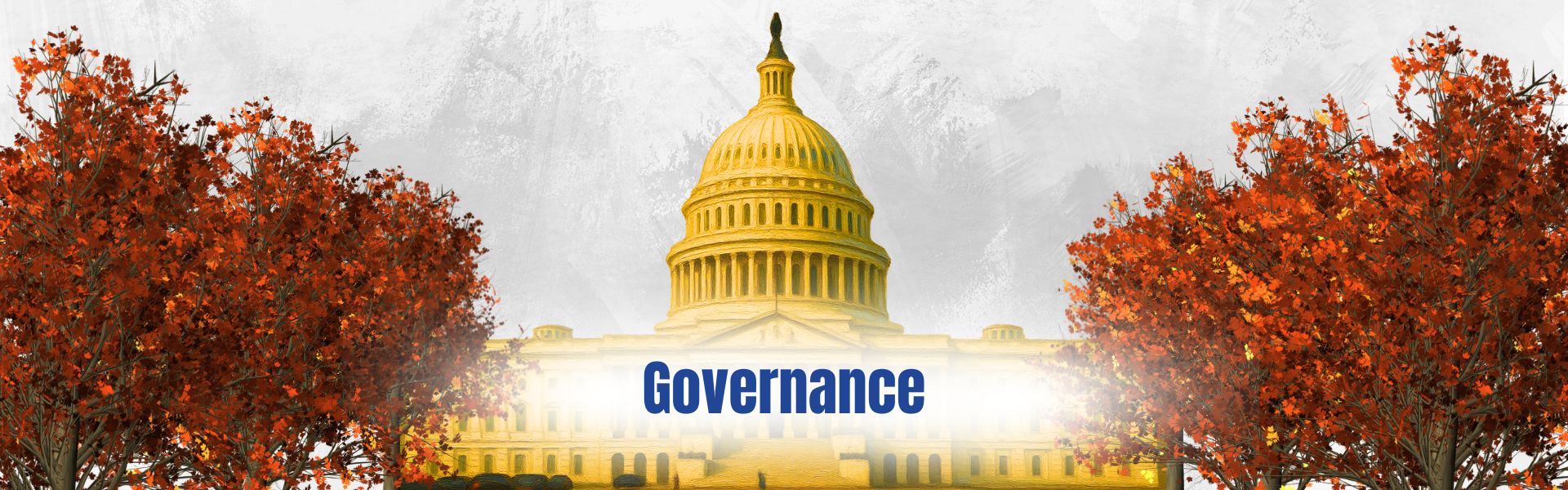 Governance